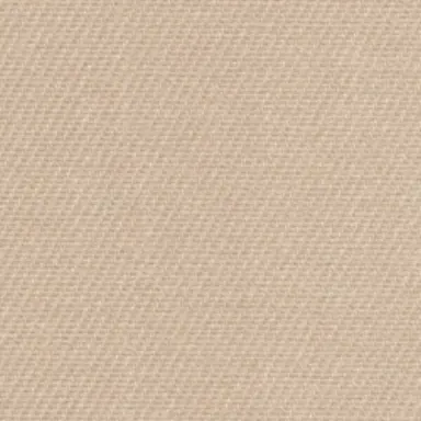 41616 Safari