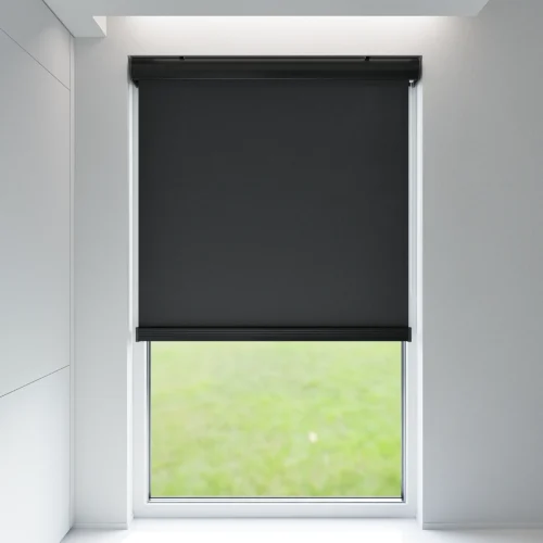 Rolgordijnen Lichtdoorlatend
